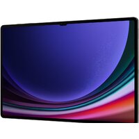 Samsung Galaxy Tab S9 Ultra 5G SM-X916 12GB/256GB (графитовый) Image #7