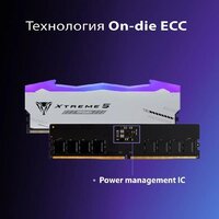 Patriot Viper Xtreme 5 2x24ГБ DDR5 6000 МГц PVXR548G60C30KM Image #11