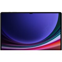 Samsung Galaxy Tab S9 Ultra 5G SM-X916 12GB/512GB (кремовый) Image #2