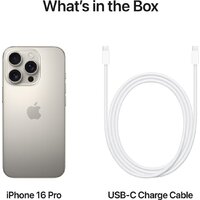 Apple iPhone 16 Pro Dual eSim 1TB (природный титан) Image #7