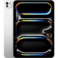 Apple iPad Pro 11" 2025 5G 1TB (серебристый) Image #1